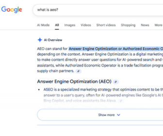 an google Overview asking "what is AEO?"
